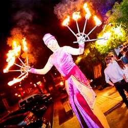 Zancudos de fuego para eventos