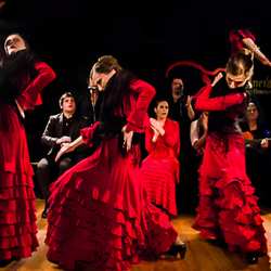 espectaculos-de-baile-barcelona