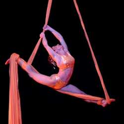 espectaculo-aereo-para-eventos